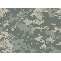 T4W PRO CAMO Lakier ACU/UCP DIGITAL MAT / 1.2L